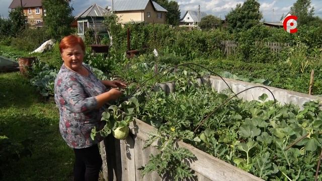 Секреты огородников смотреть онлайн