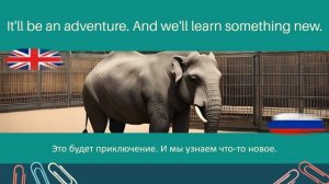 В зоопарке, Простой диалог, разговор на английском для начинающих #2