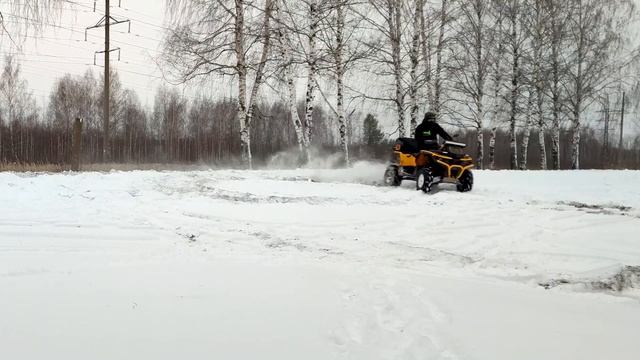 Первый снег. Гепард сел в песке. Kayo скользит смотреть онлайн