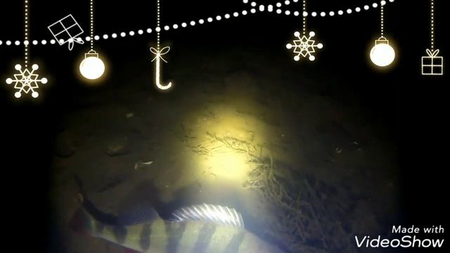 Подводная охота с банькой смотреть онлайн