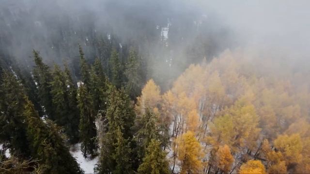 Ущелье Шамшы, Кыргызстан смотреть онлайн