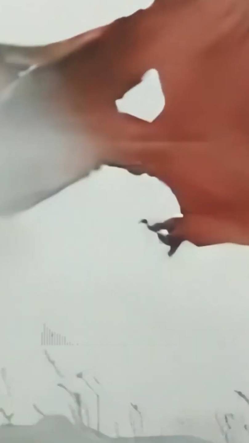 "Песня красноармейца" (из х/ф "Кортик" 1973г.)
Создано в "SUNO" 2024г.