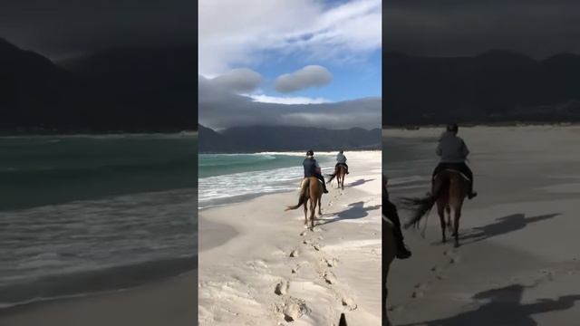 INCREDIBLE HORSE RIDING ON THE BEACH OF CAPE TOWN Верховая езда в Кейптауне смотреть онлайн
