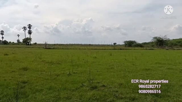 ID 558: 65 cent ECR Commercial property for sale near Chennai! Mugaiyur/East Face! Mr Ashi986528271 смотреть онлайн
