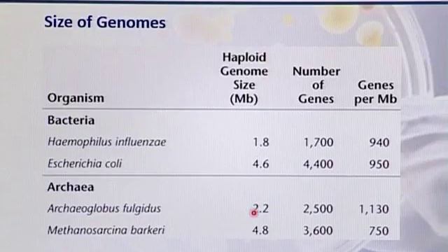 BIO502_Topic088 смотреть онлайн