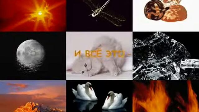 И Бог создал женщину... смотреть онлайн