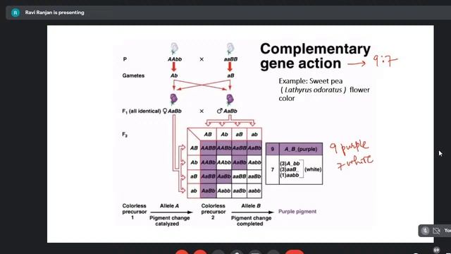 GujBT e-Lecture Series Session-21 Week 6 by Dr. Shivani Patel смотреть онлайн