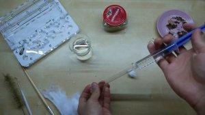 КАК СДЕЛАТЬ ИНКУБАТОР ДЛЯ МАТКИ МУРАВЬЁВ - первый дом вашей муравьиной королевы.