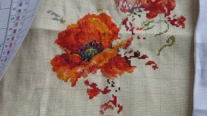 Сравнительный анализ для начинающих вышивать! Какая канва лучше?