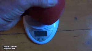 ТОМАТ АЛСУ. Обзор сибирского сорта, личный опыт выращивания.