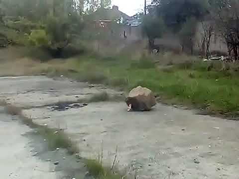 Краткий тест пневматического ПМ смотреть онлайн