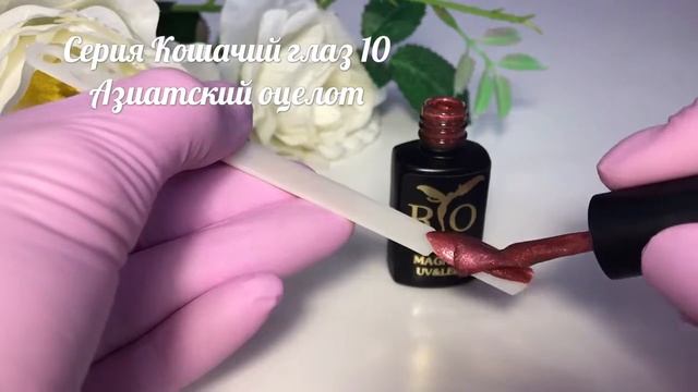 Серия Кошачий глаз №10 "Азиатский оцелот" смотреть онлайн