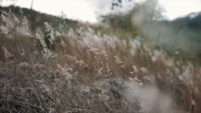 Cinematic Sony A6300 + Neewer 35mm 1.7 footage test смотреть онлайн