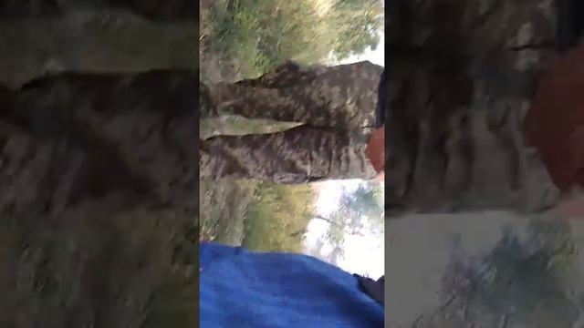 Пожар в Жданово смотреть онлайн