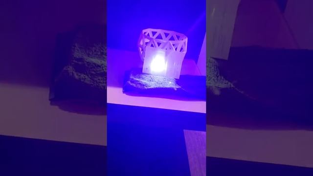 5 watt Blue Burning Laser смотреть онлайн