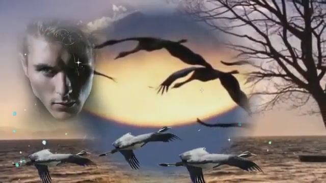 Перелётная птица...исп. Виталий Пось смотреть онлайн