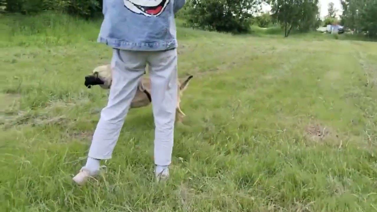Домашний Расмус ищет дом 🐾 смотреть онлайн