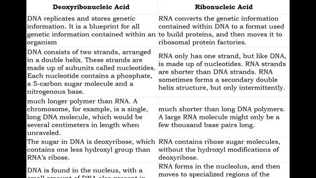 Day 2 Chemistry in Human Body Part II смотреть онлайн
