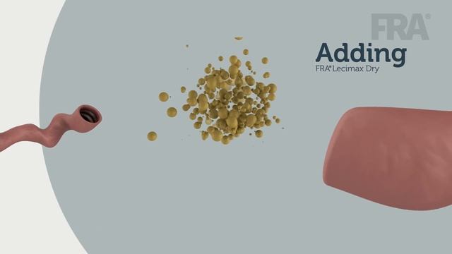 Optimizing fat digestion & nutrient absorption with FRA LeciMax | FRA Animal Feed Additives смотреть онлайн