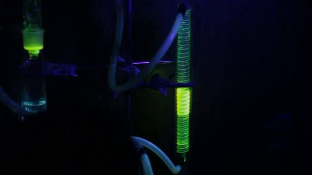 Fun with Fluorescein смотреть онлайн