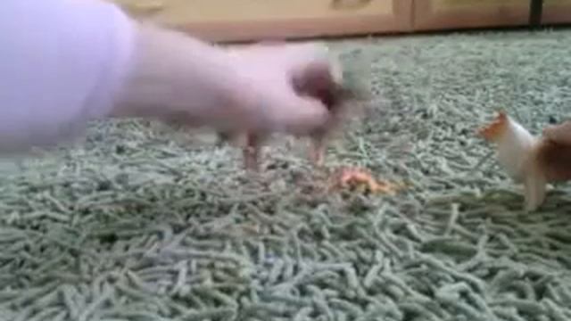 Сериал ,, ГОСТИ ИЗ ПРОШЛОГО