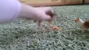 Сериал ,, ГОСТИ ИЗ ПРОШЛОГО"