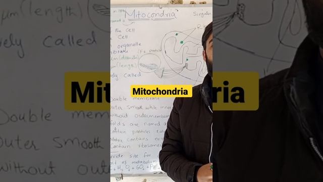 #short#Mitocondria#(FSC)#10th#Biology#viral#Rank смотреть онлайн
