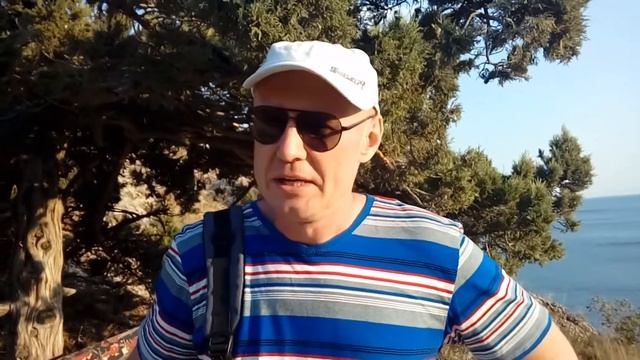 Результаты применения продукции APL смотреть онлайн