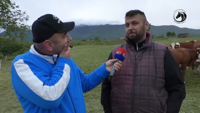 - JAKICA STIGAO NA KARAULU I JAVLJA SE NOĆ PRIJE SUBOTNJE ŠTRAPARIJADE - смотреть онлайн