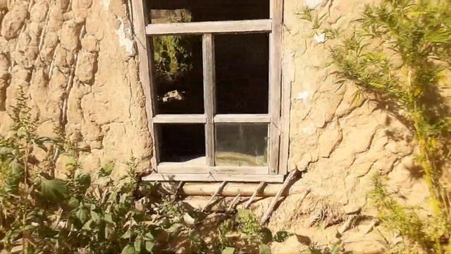 Почему они покинули свои дома? Из-за лесных пожаров? смотреть онлайн