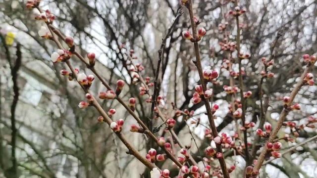 Весна – время перемен. смотреть онлайн