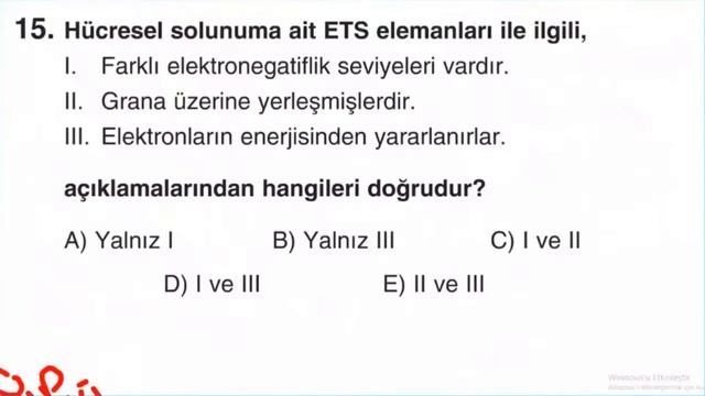 12 SINIF BİYOLOJİ Solunum смотреть онлайн