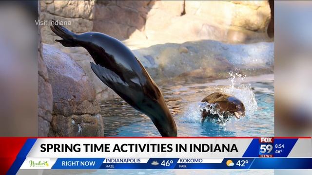 Springtime activities in Indiana смотреть онлайн