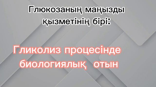 Молекулалық биология. Биотехнология. Биохимия. 10 сынып смотреть онлайн