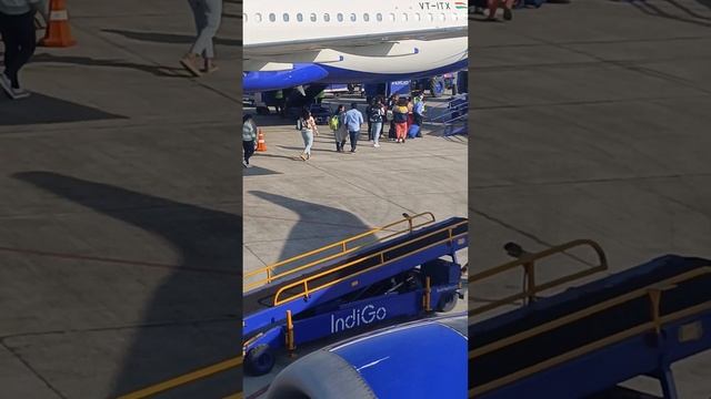 Amazing Experience of IndiGo 6E flight смотреть онлайн