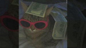 Целуй меня пока лучи не целются в нас