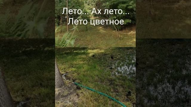 Ах лето парк Кирова и сквер на Орджоникидзе смотреть онлайн