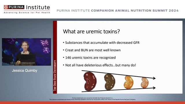 Gut-Kidney Axis: CKD and Constipation - Jessica Quimby, DVM, PhD, DACVIM (SAIM) смотреть онлайн