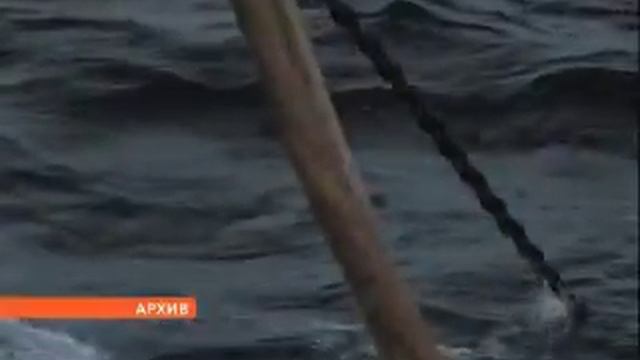 Международная комиссия экологов в Мурманске смотреть онлайн