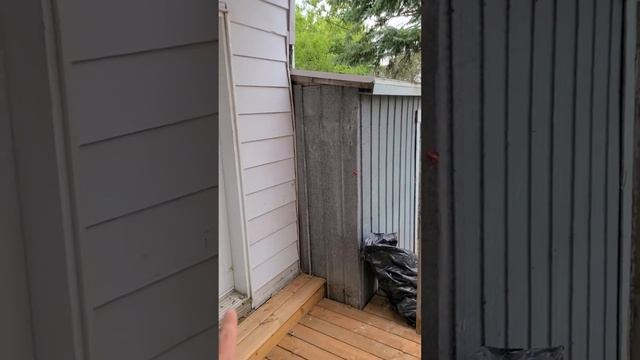 Maison 4 chambres à louer à Québec! Renovée! смотреть онлайн