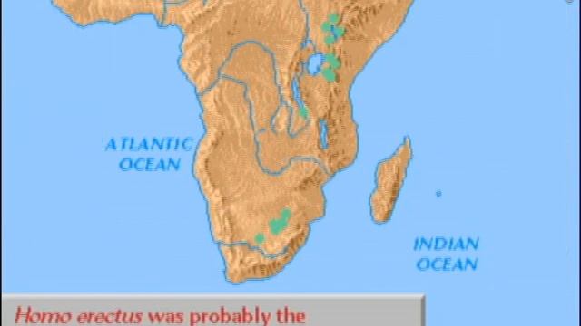 Homo sapiens evolution, Rate My Science смотреть онлайн
