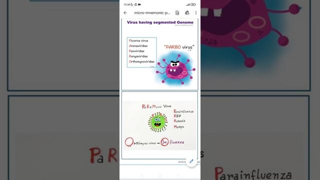 paramyxo virus #microbiology #mnemonics смотреть онлайн