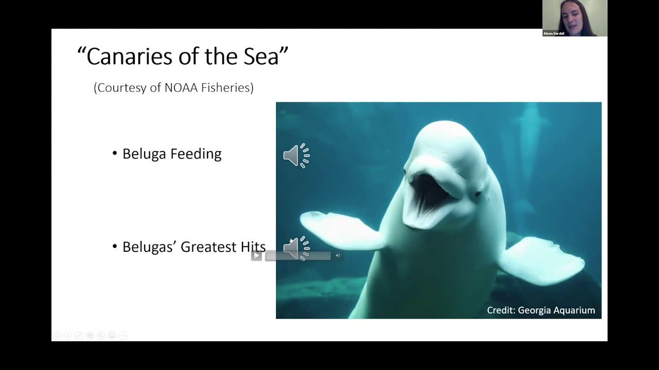 Grit City Think and Drink: Save the Whales - Allison Gardell смотреть онлайн