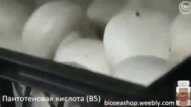 31 августа 2020 г. смотреть онлайн