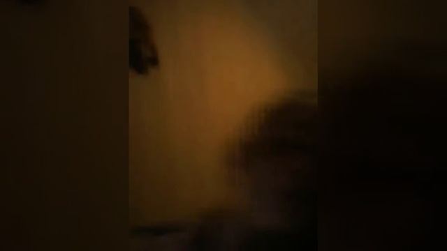 Обзор на мой аквариум смотреть онлайн