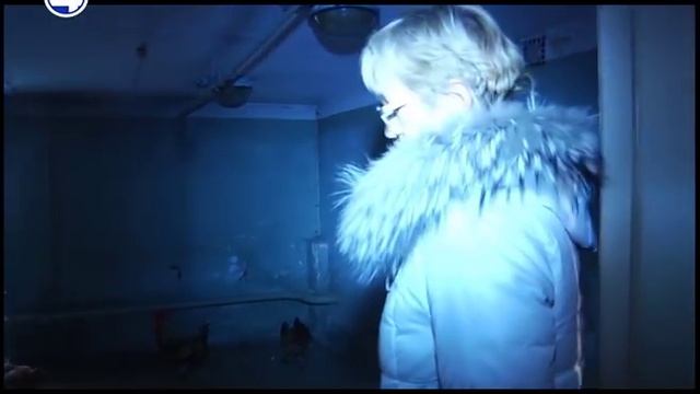 КУРЫ в пятиэтажке смотреть онлайн