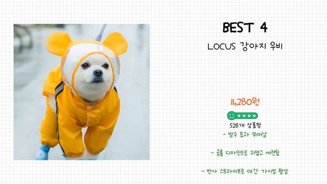 2024년 강아지우비 Best 상품 추천 смотреть онлайн