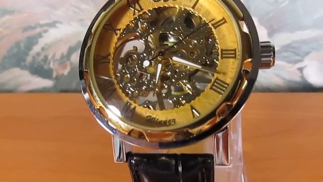 Элитные Часы Skileton Winner смотреть онлайн