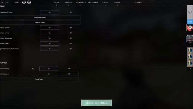 Valorant: How to Pause Match Timer and Use Cheats in Custom Games смотреть онлайн