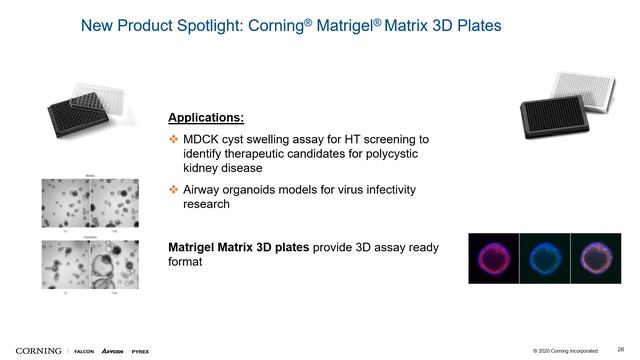 3D Tools and Technologies for Modeling Development and Disease смотреть онлайн